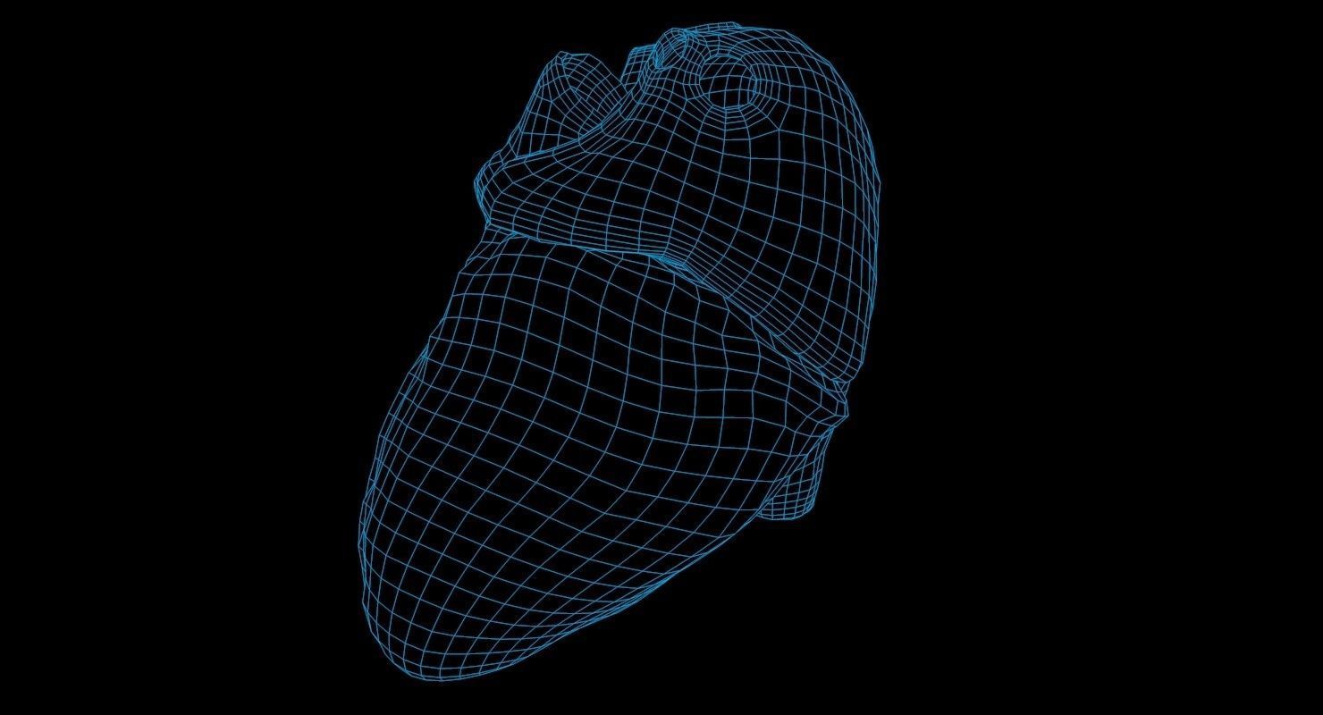Animated Realistic Human Heart - Medically Accurate Low-poly 3D model_65
