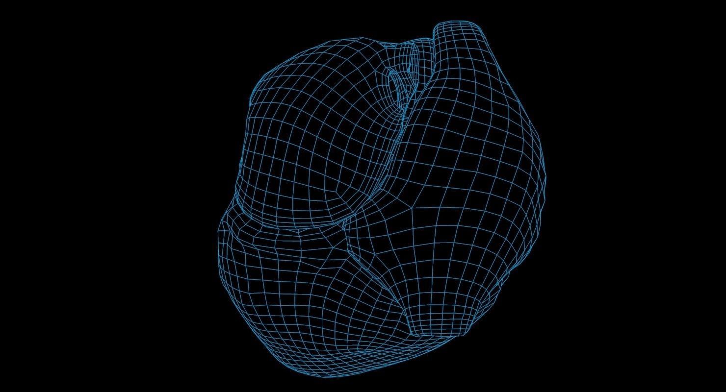 Animated Realistic Human Heart - Medically Accurate Low-poly 3D model_66