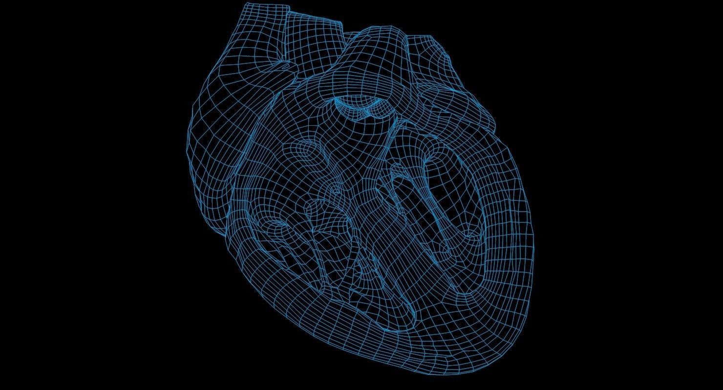 Animated Realistic Human Heart - Medically Accurate Low-poly 3D model_1