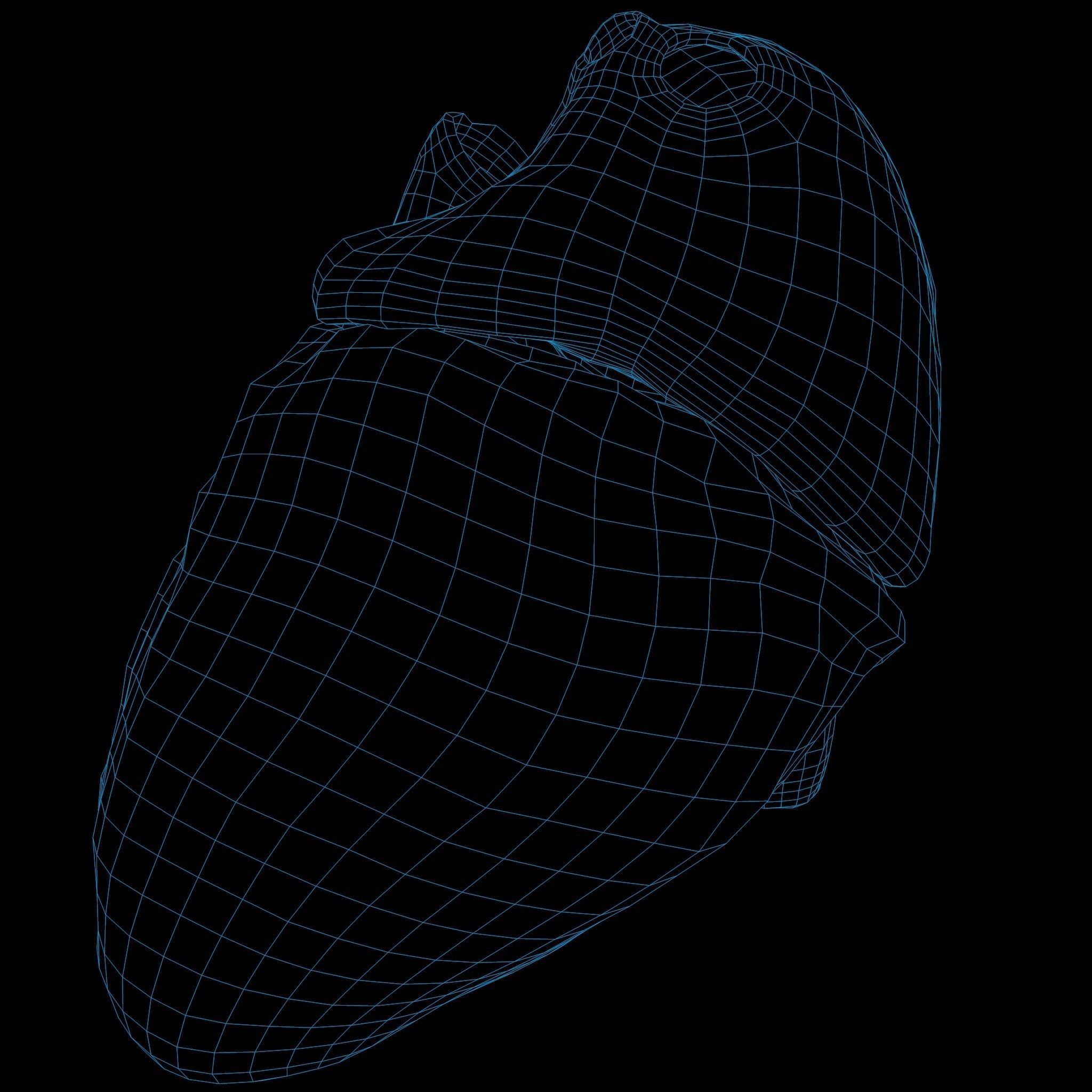 Animated Realistic Human Heart - Medically Accurate Low-poly 3D model_67