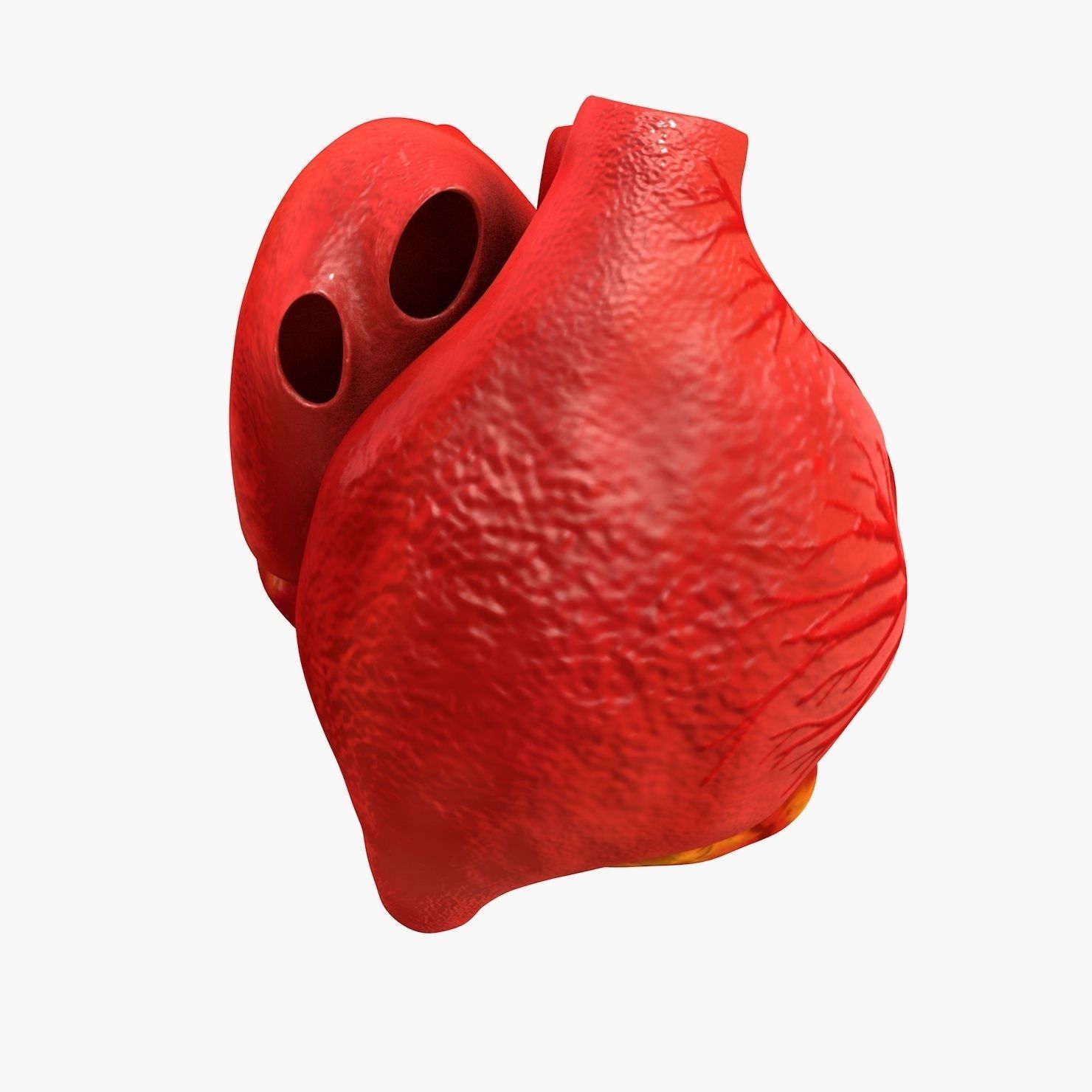 Animated Realistic Human Heart - Medically Accurate Low-poly 3D model_18