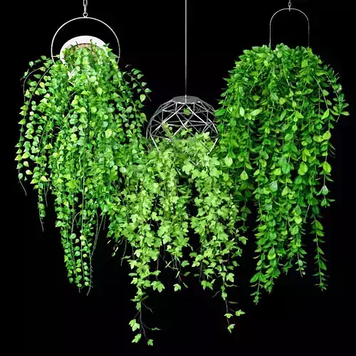 Hanging Plant Pot Set