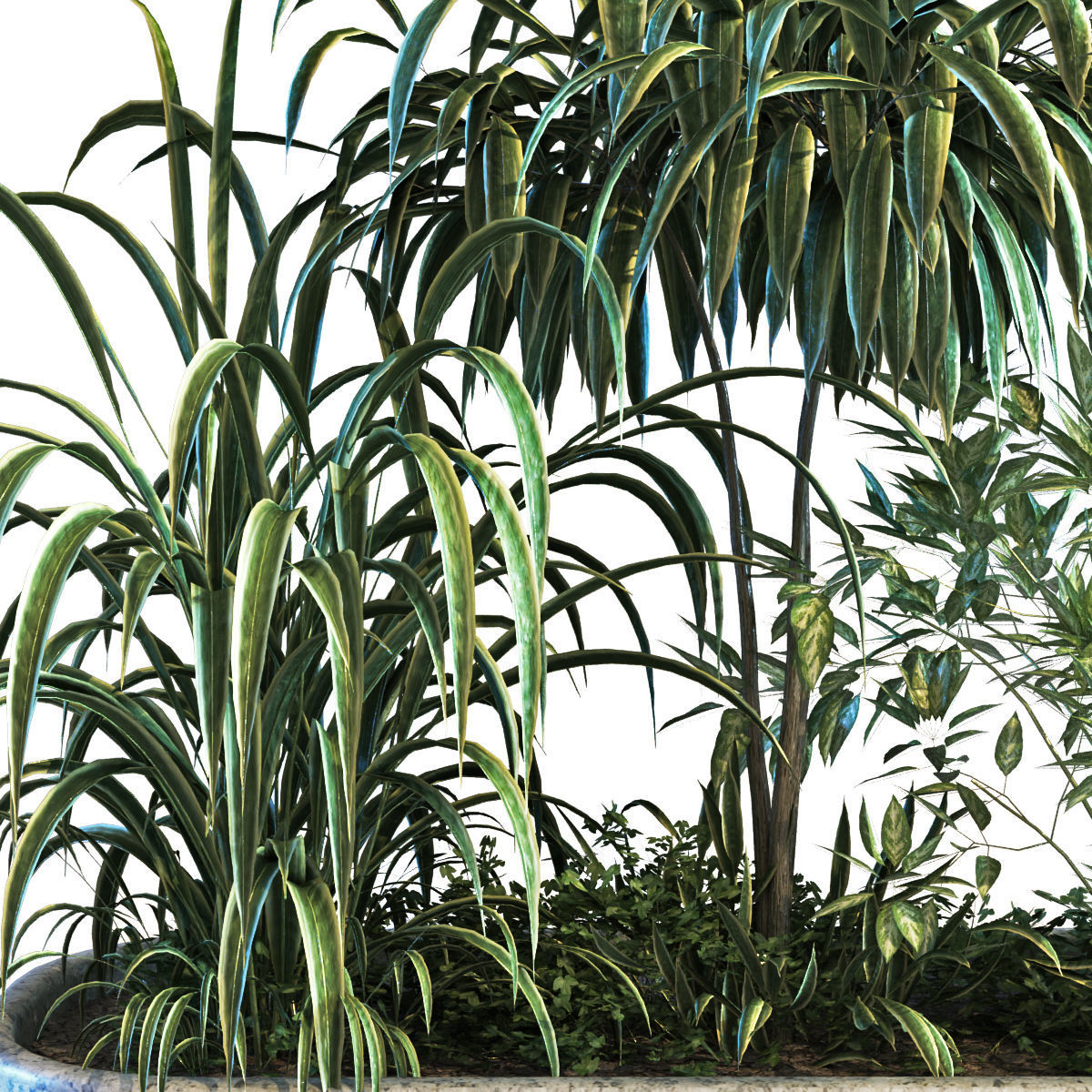 plant in box set 083 Low-poly 3D model_5