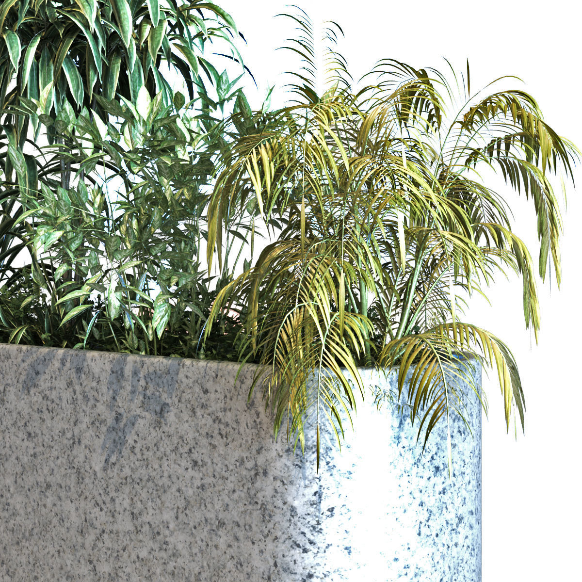 plant in box set 083 Low-poly 3D model_3