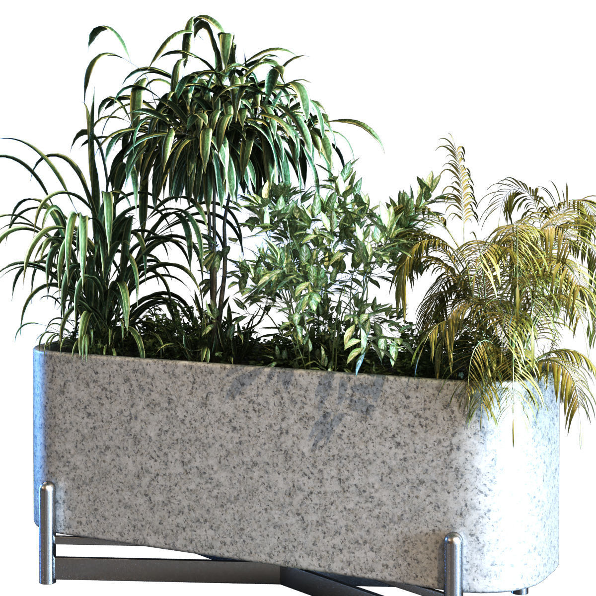 plant in box set 083 Low-poly 3D model_1