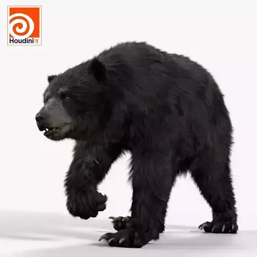 bear black MOD 3D model