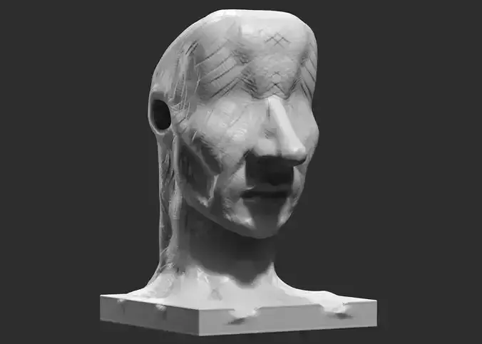 human head modern sculpture 3d print model 90
