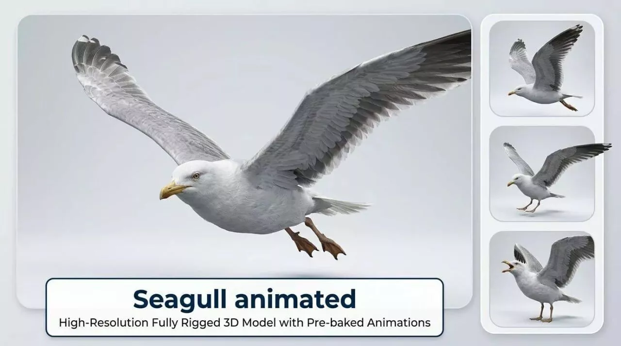 Seagull 06 animated Low-poly 3D model