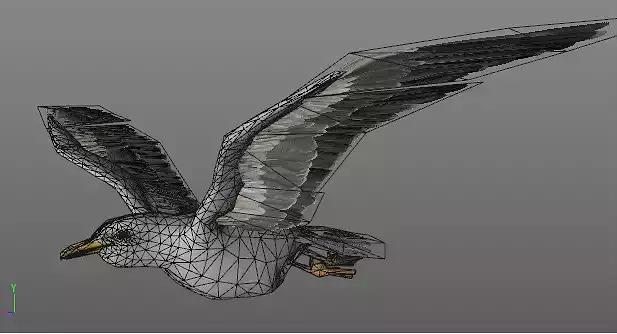 Seagull animated Low-poly 3D model