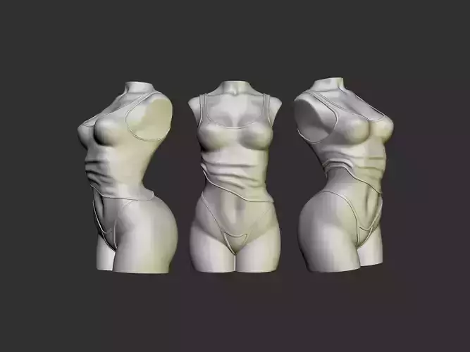 Female Torso