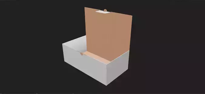 Carton Box Packaging