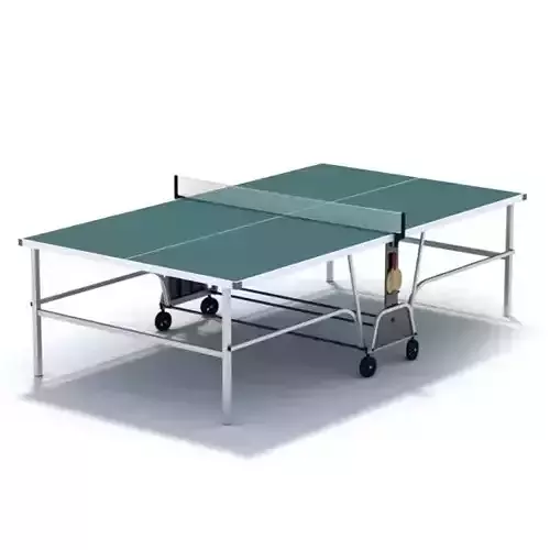 Ping Pong  Table