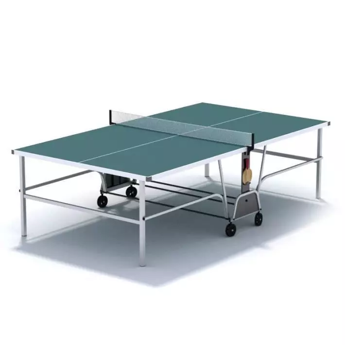 Ping Pong  Table 3D model_0