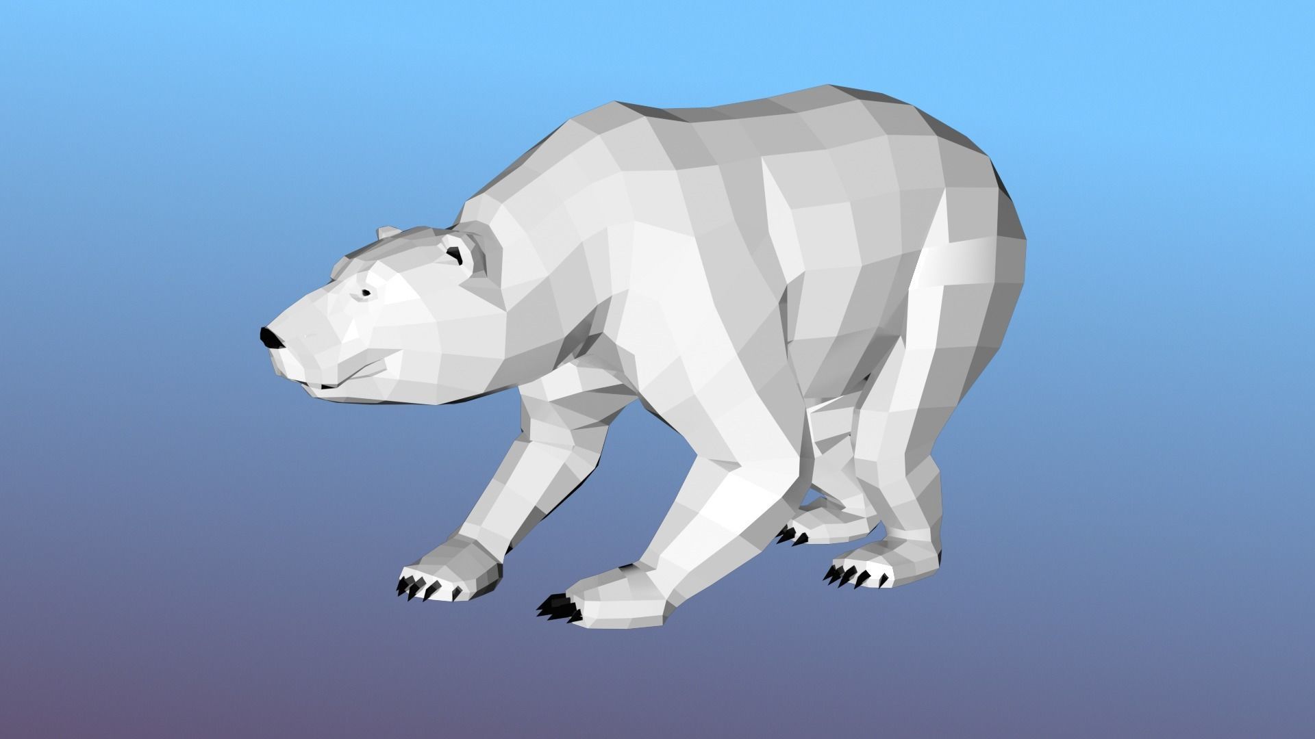 White bear Low Polygon Animal Arctic sea ocean Low-poly 3D model Low-poly 3D model_5