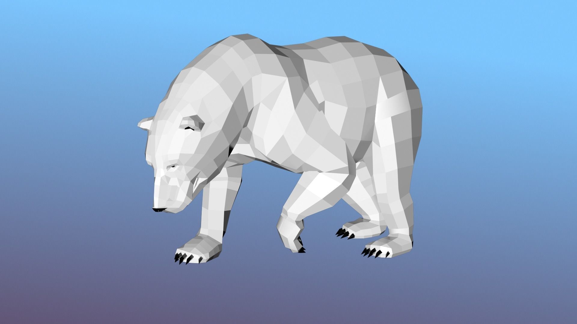 White bear Low Polygon Animal Arctic sea ocean Low-poly 3D model Low-poly 3D model_14