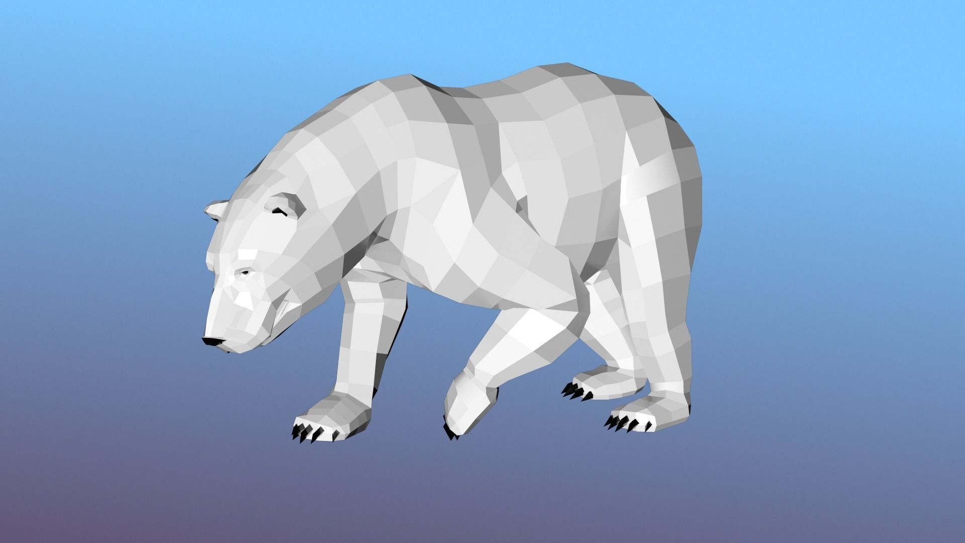 White bear Low Polygon Animal Arctic sea ocean Low-poly 3D model Low-poly 3D model_11