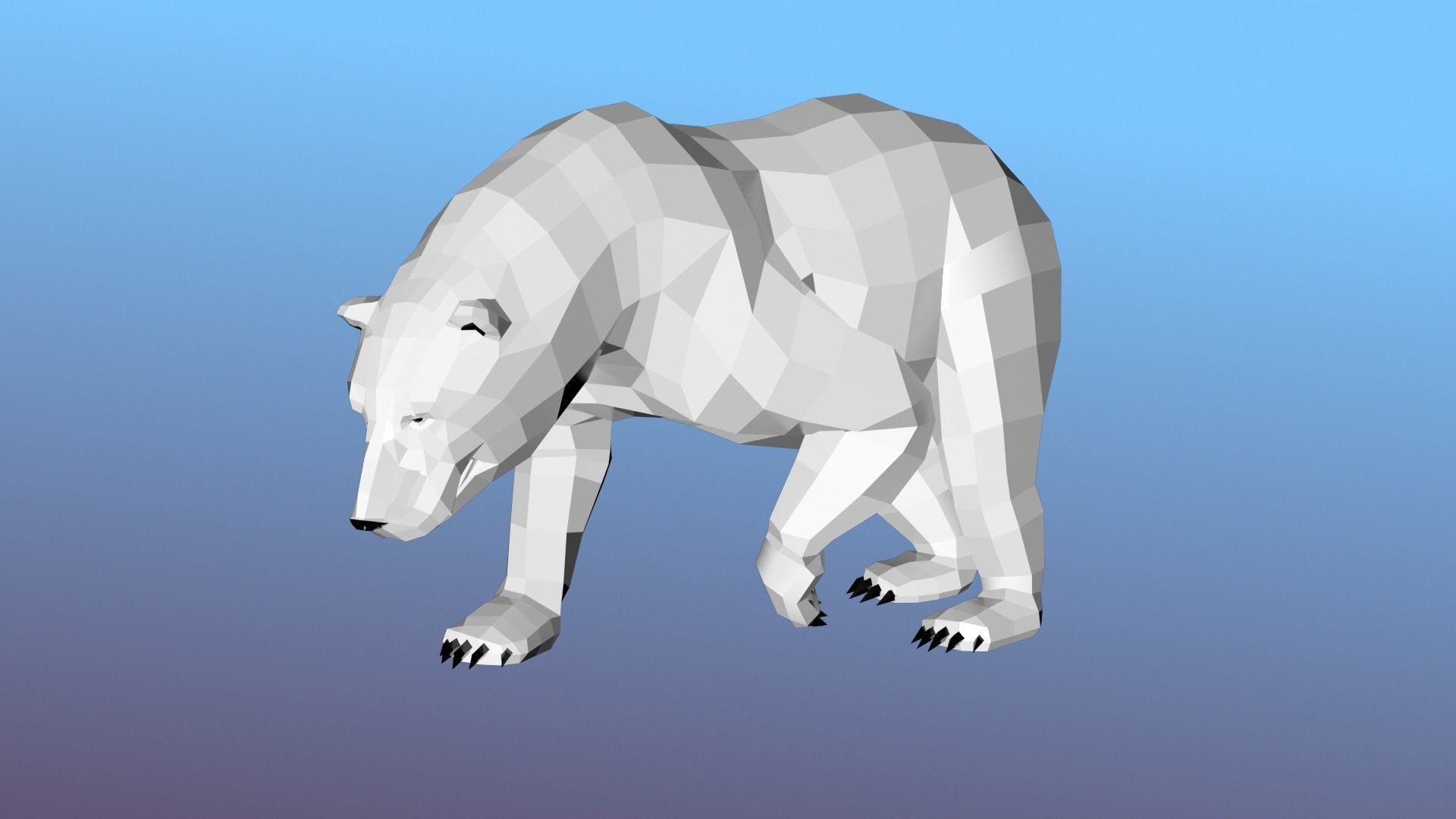 White bear Low Polygon Animal Arctic sea ocean Low-poly 3D model Low-poly 3D model_12