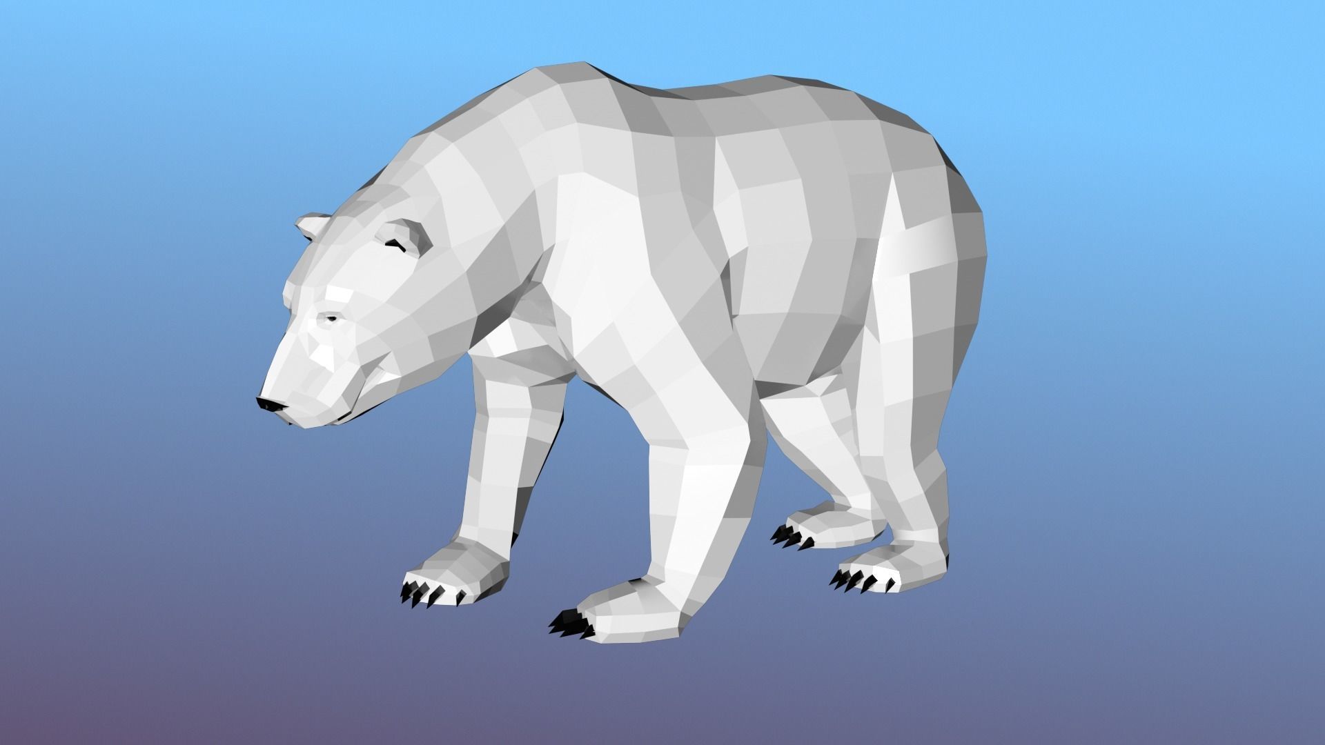 White bear Low Polygon Animal Arctic sea ocean Low-poly 3D model Low-poly 3D model_19