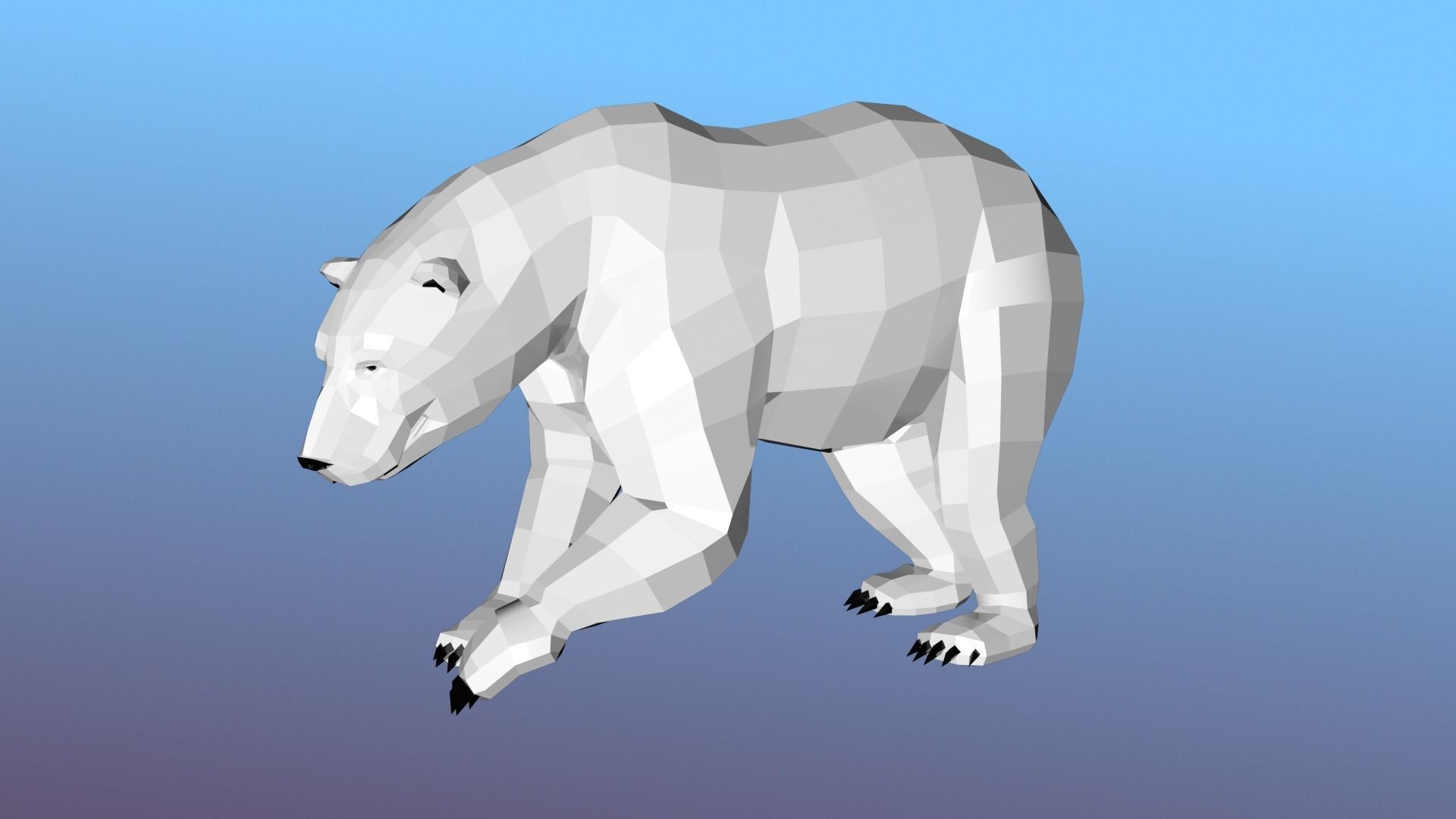 White bear Low Polygon Animal Arctic sea ocean Low-poly 3D model Low-poly 3D model_8