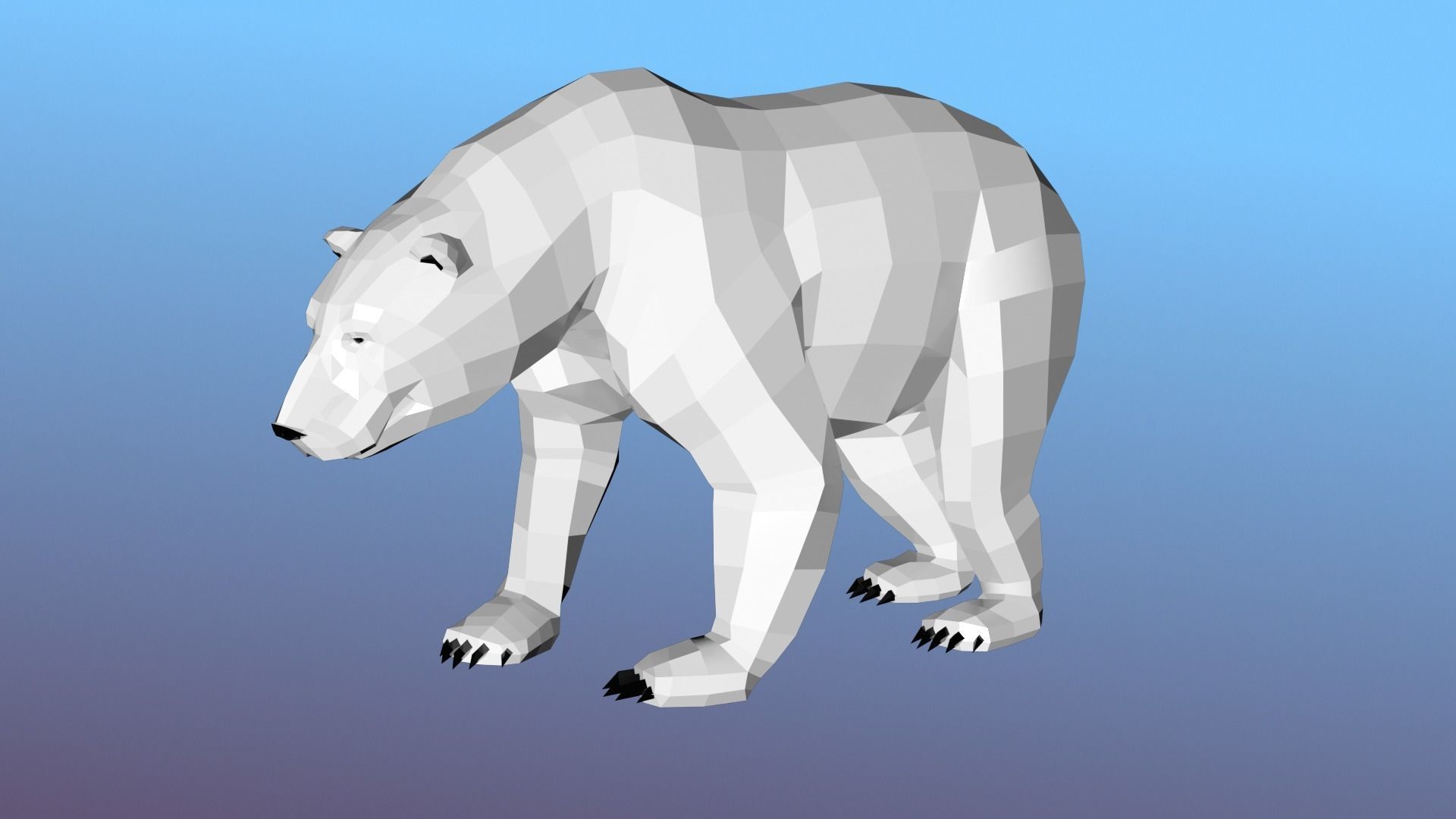 White bear Low Polygon Animal Arctic sea ocean Low-poly 3D model Low-poly 3D model_20