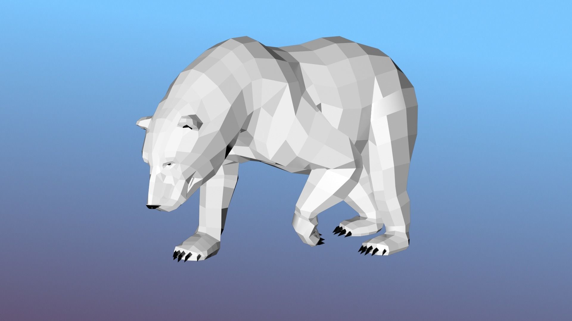 White bear Low Polygon Animal Arctic sea ocean Low-poly 3D model Low-poly 3D model_13