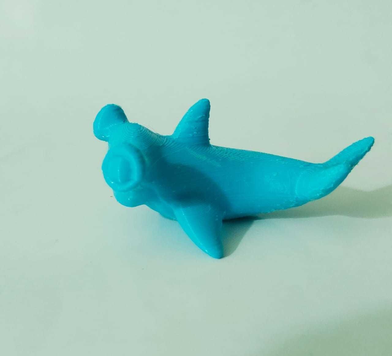 Hammer Shark 3D print model_6