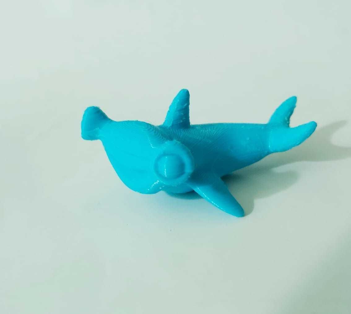 Hammer Shark 3D print model_5