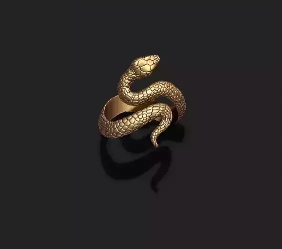Snake ring 3D print model
