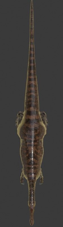 Suchominus Asset Pack Low-poly 3D model_7