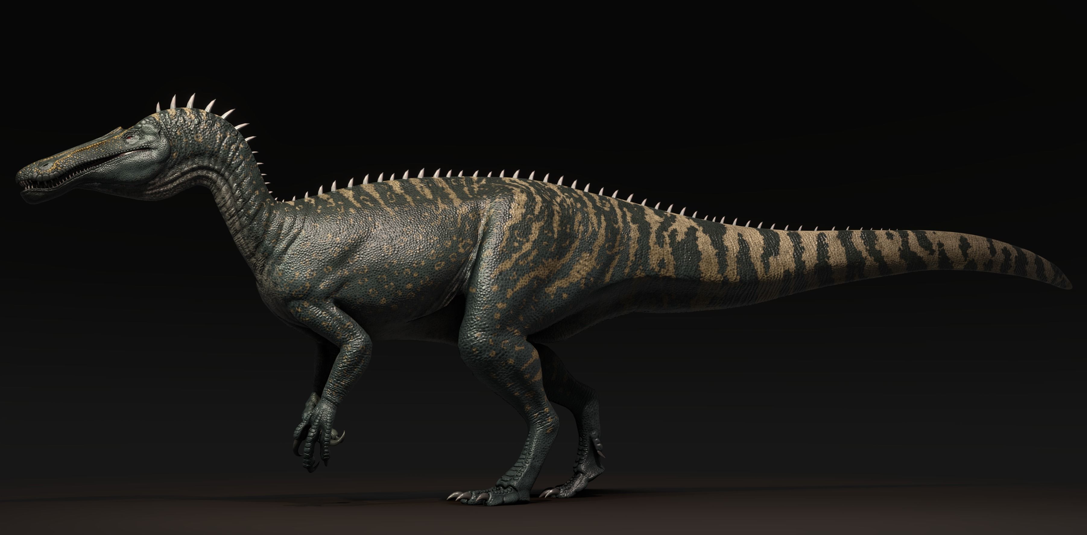 Suchominus Asset Pack Low-poly 3D model_4