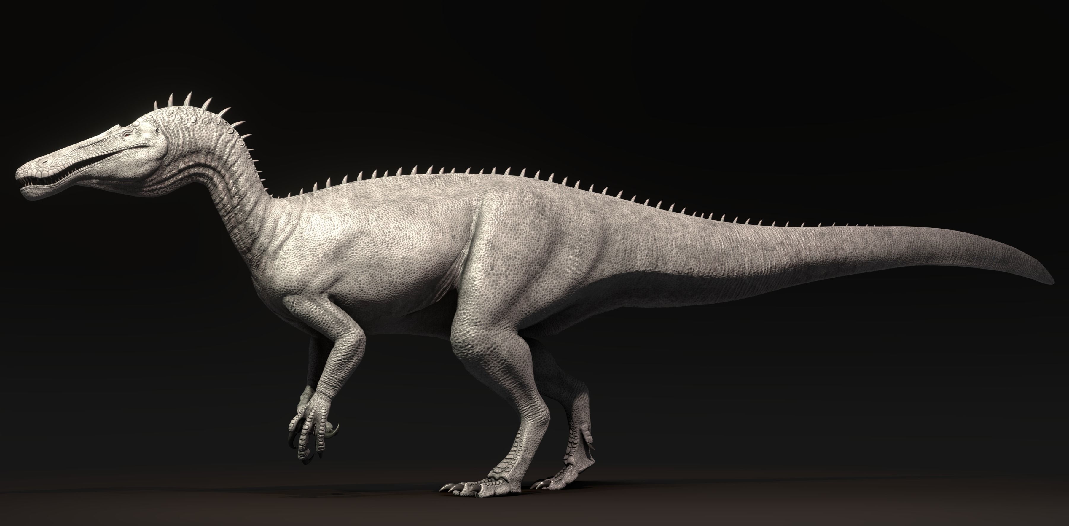 Suchominus Asset Pack Low-poly 3D model_6