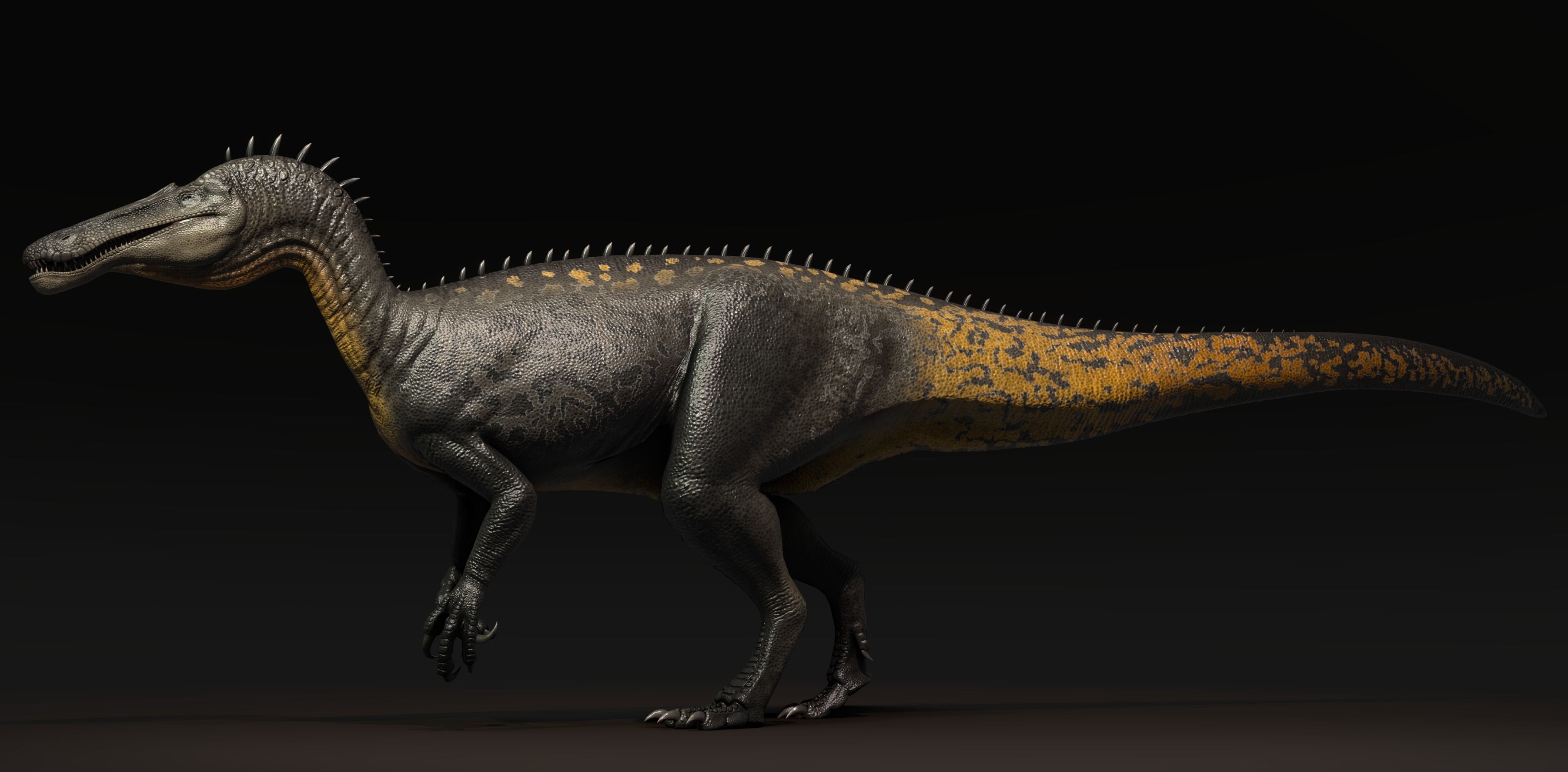 Suchominus Asset Pack Low-poly 3D model_2