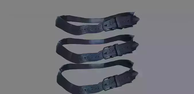 Belt medieval