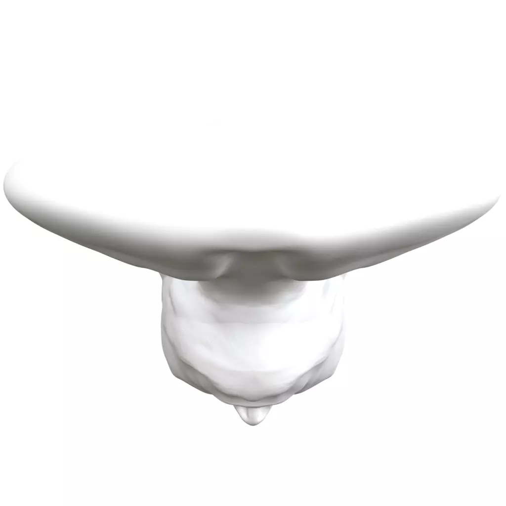 Tribal head base 3D model