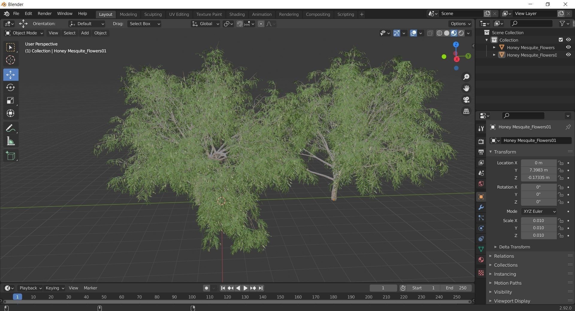 2 Different tree Honey Mesquite Flowers 3D model_1