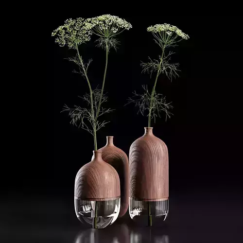 Heracleum in wooden vase 3D model
