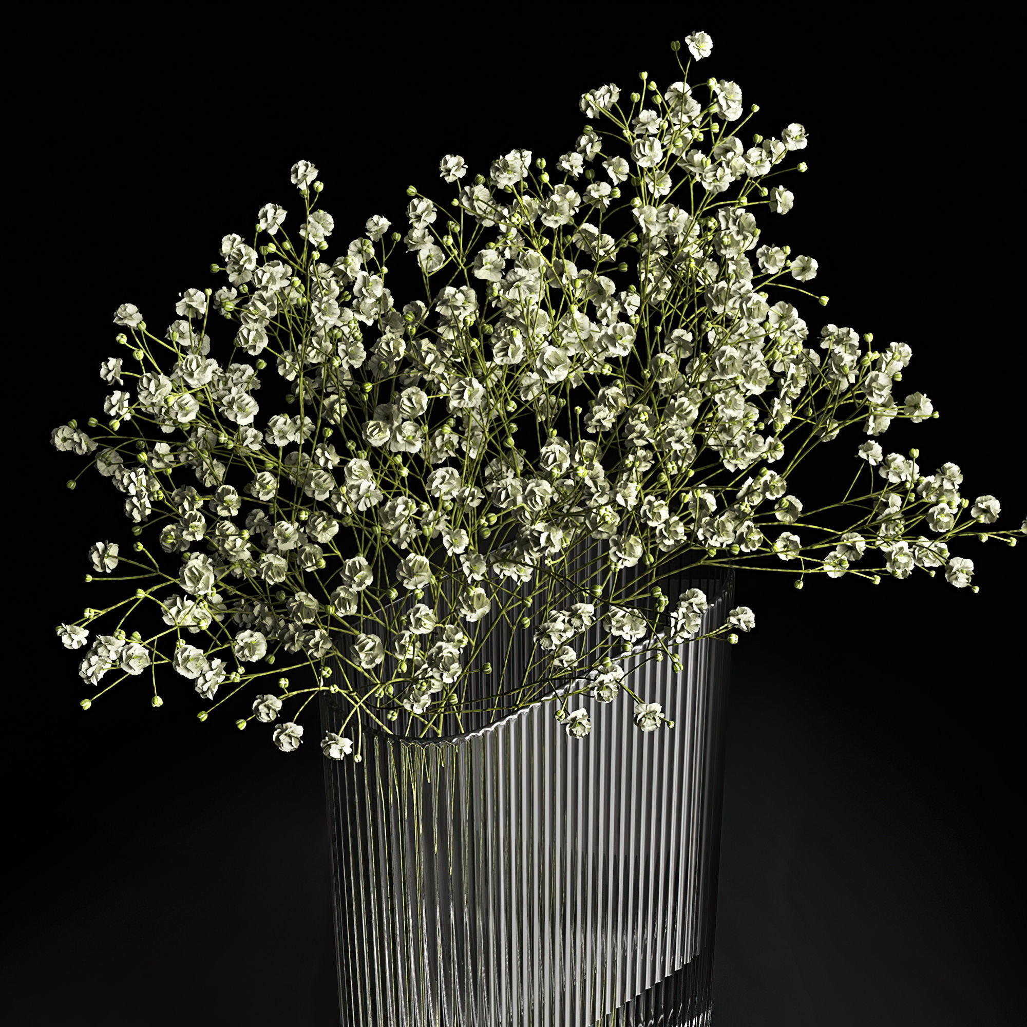 A bouquet of gypsophila 3D model_3