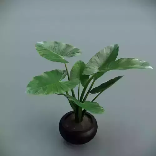 Plant Family for Revit Four Variations 3D model
