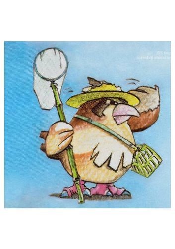 Pidgey cartoon bird holding net 3D print model