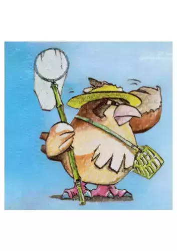 Pidgey cartoon bird holding net