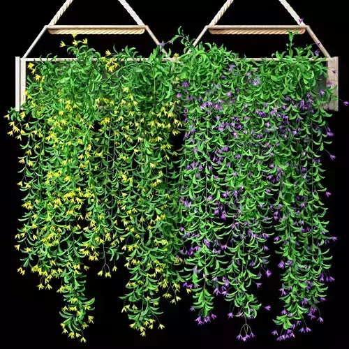 Vine Willow Plant Pot Set