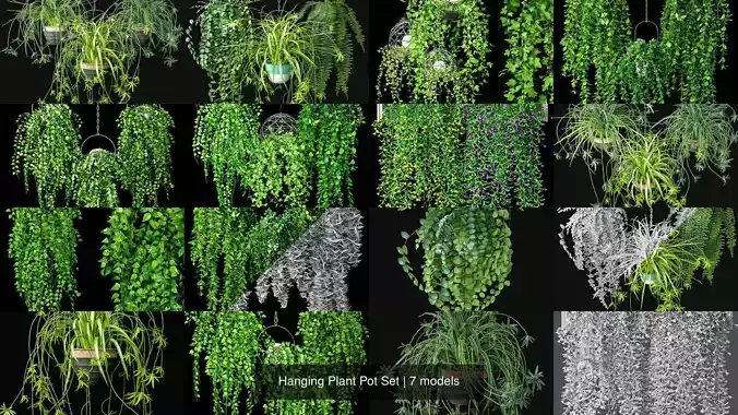 Hanging Plant Pot Set