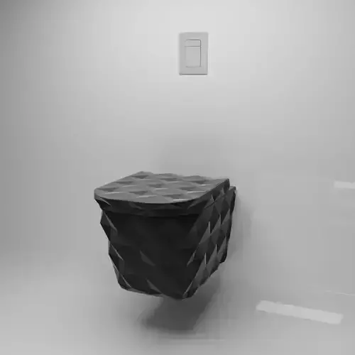 Matte black wall mounted toilet