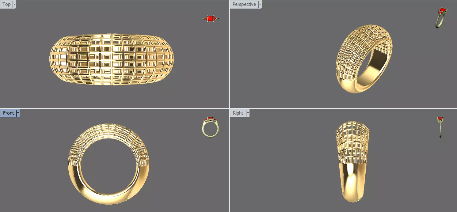 Cage ring 3D print model