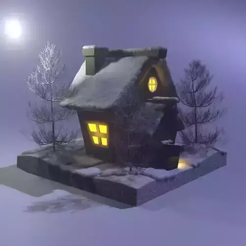 Winter House