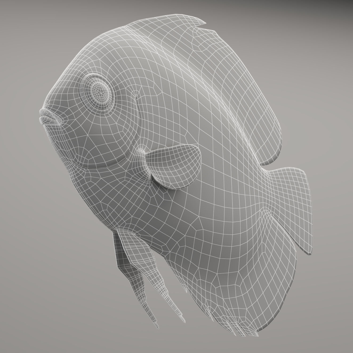 Discus fish 3D model_20