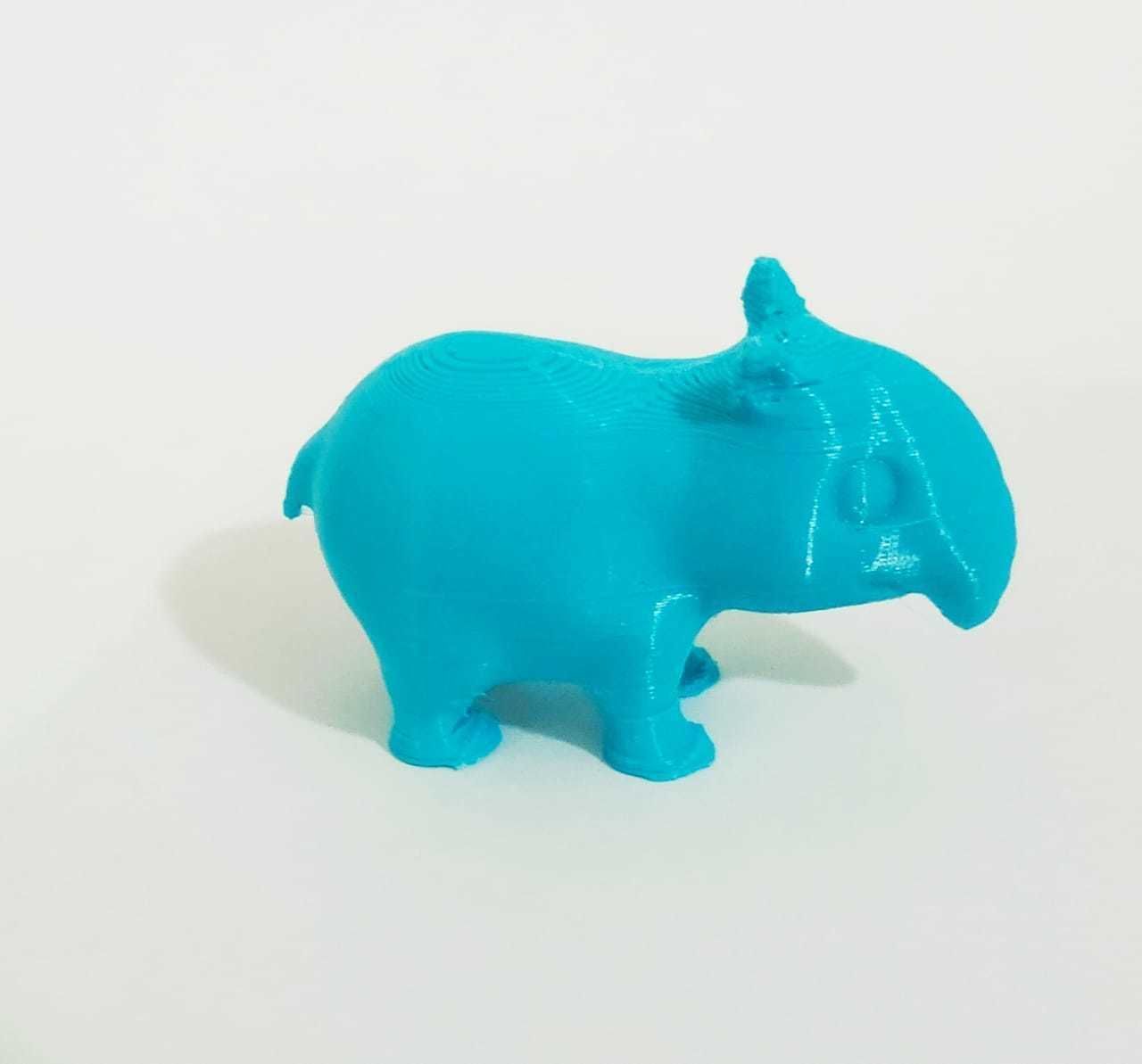 Cute  Tapir 3D print model_3
