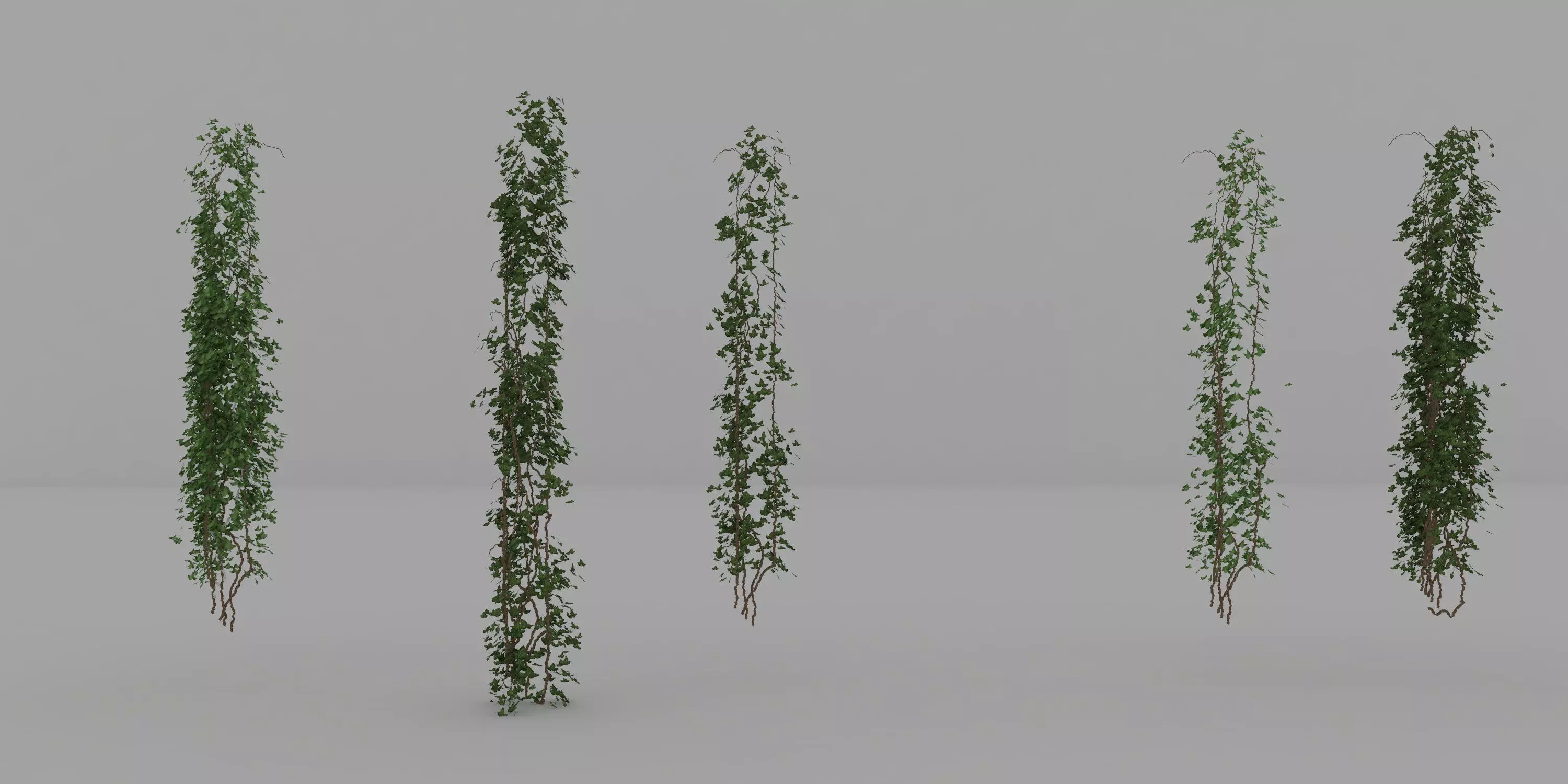 ivy rhino model Free 3D model_0