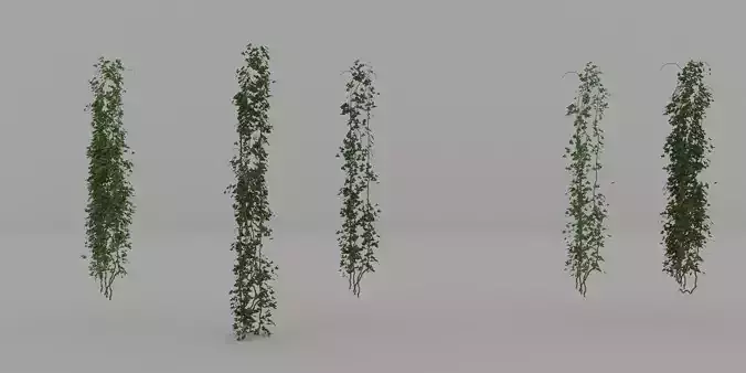 ivy rhino model Free 3D model