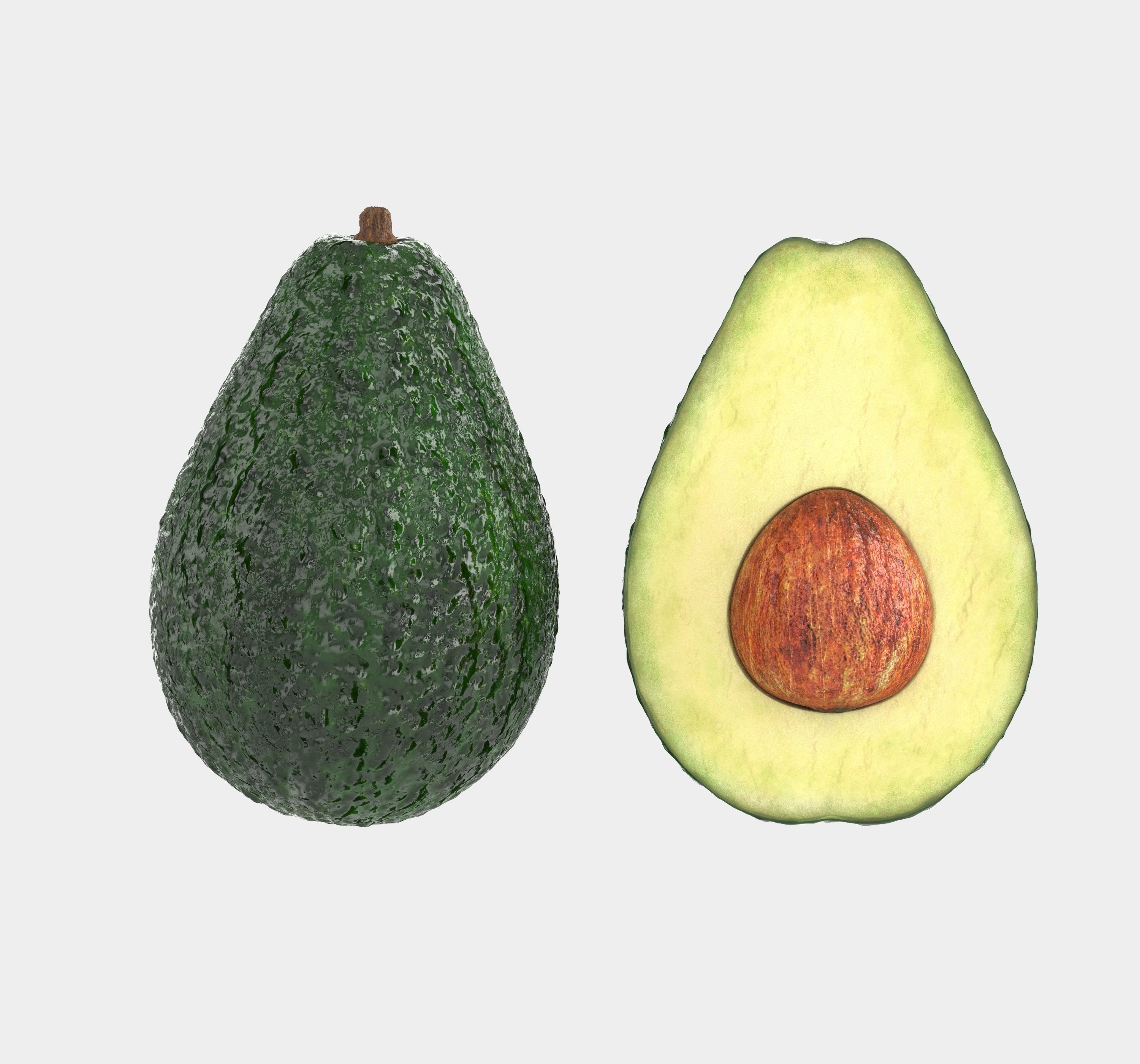Avocado  3D model_4